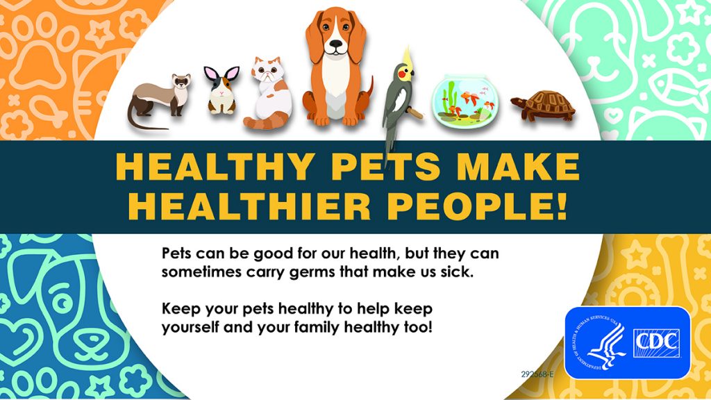 healthy pets
