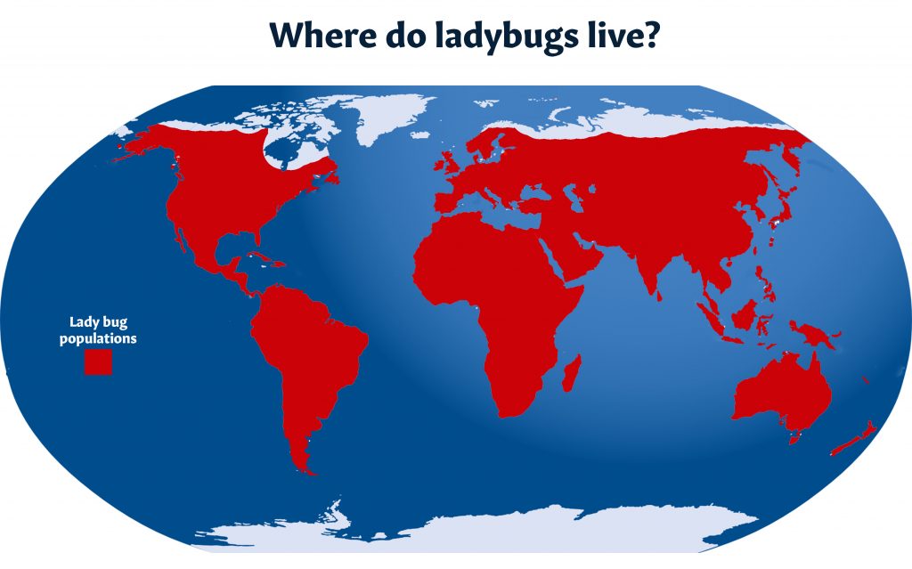 color map of where ladybugs are native