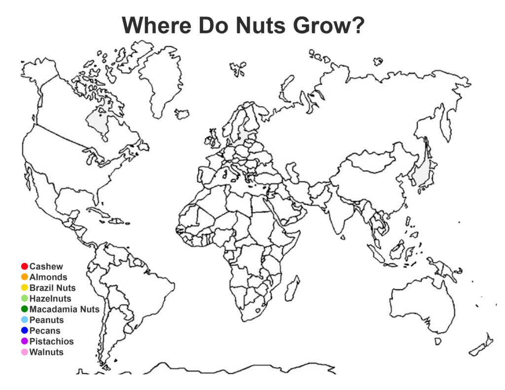 map worksheet for nuts around the world