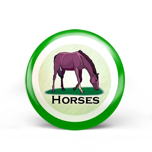 horse badge